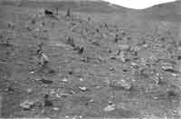 Доринг, март 1928. Фотография из архива МНР
