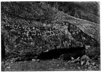 Петроглифы в местечке Донгга. Ладак. Фото А. Франке. Нач. 1910-х